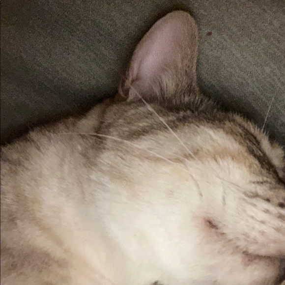 Meet your Posher, Evan - Picture 1 of 1